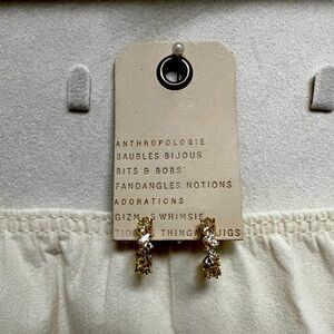 Anthropology Cute nwt hoop earrings retail price 44 now 20.